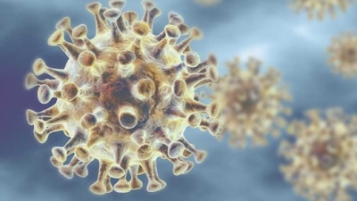 CAMBIA IL COLORE DELLA MIA ZONA: COSA POSSO FARE ?