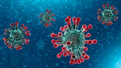 SUONIAMO INSIEME PER SCONFIGGERE IL CORONAVIRUS