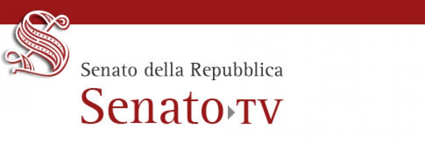 RIFORMA DEL 3° SETTORE audizione del TP in Senato